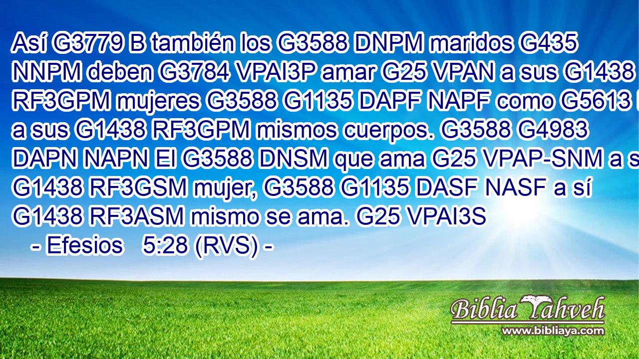 Así G3779 B también los G3588 DNPM maridos G435 NNPM deben G3784 VPAI3P amar G25 VPAN a sus G1438 RF3GPM mujeres G3588 G1135 DAPF NAPF como G5613 B a sus G1438 RF3GPM mismos cuerpos. G3588 G4983 DAPN NAPN El G3588 DNSM que ama G25 VPAP-SNM a su G1438 RF3GSM mujer, G3588 G1135 DASF NASF a sí G1438 RF3ASM mismo se ama. G25 VPAI3S 