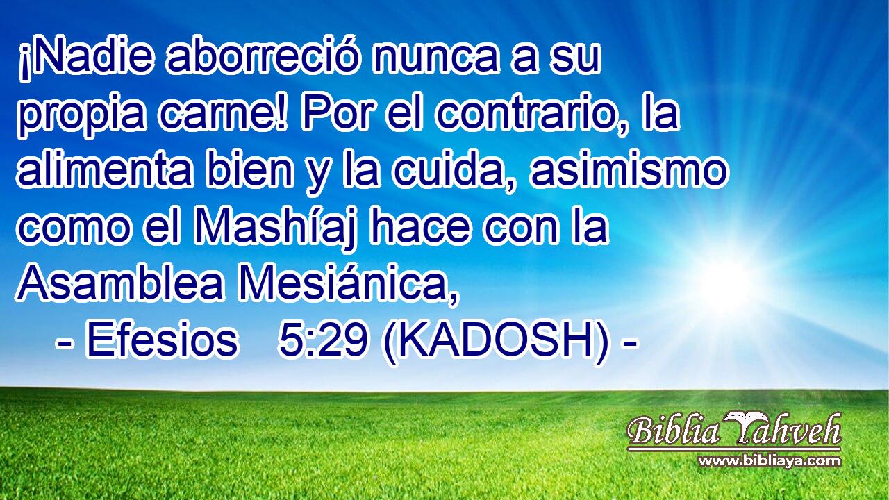  ¡Nadie aborreció nunca a su propia carne! Por el contrario, la alimenta bien y la cuida, asimismo como el Mashíaj hace con la Asamblea Mesiánica, 