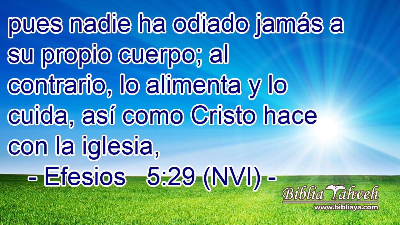  pues nadie ha odiado jamás a su propio cuerpo; al contrario, lo alimenta y lo cuida, así como Cristo hace con la iglesia, 