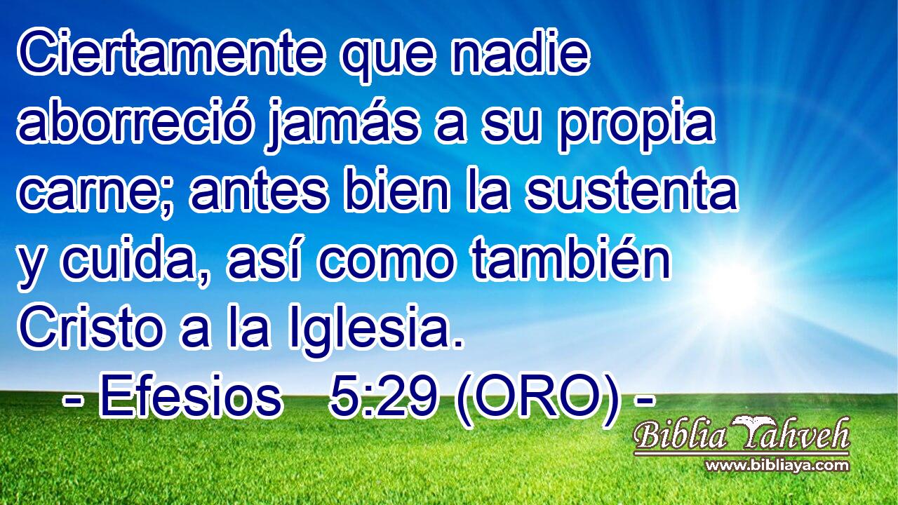  Ciertamente que nadie aborreció jamás a su propia carne; antes bien la sustenta y cuida, así como también Cristo a la Iglesia. 