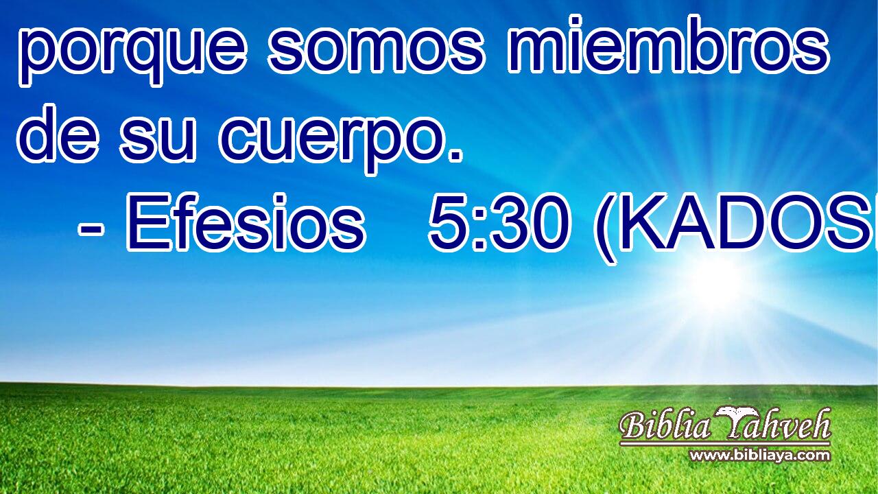  porque somos miembros de su cuerpo. 