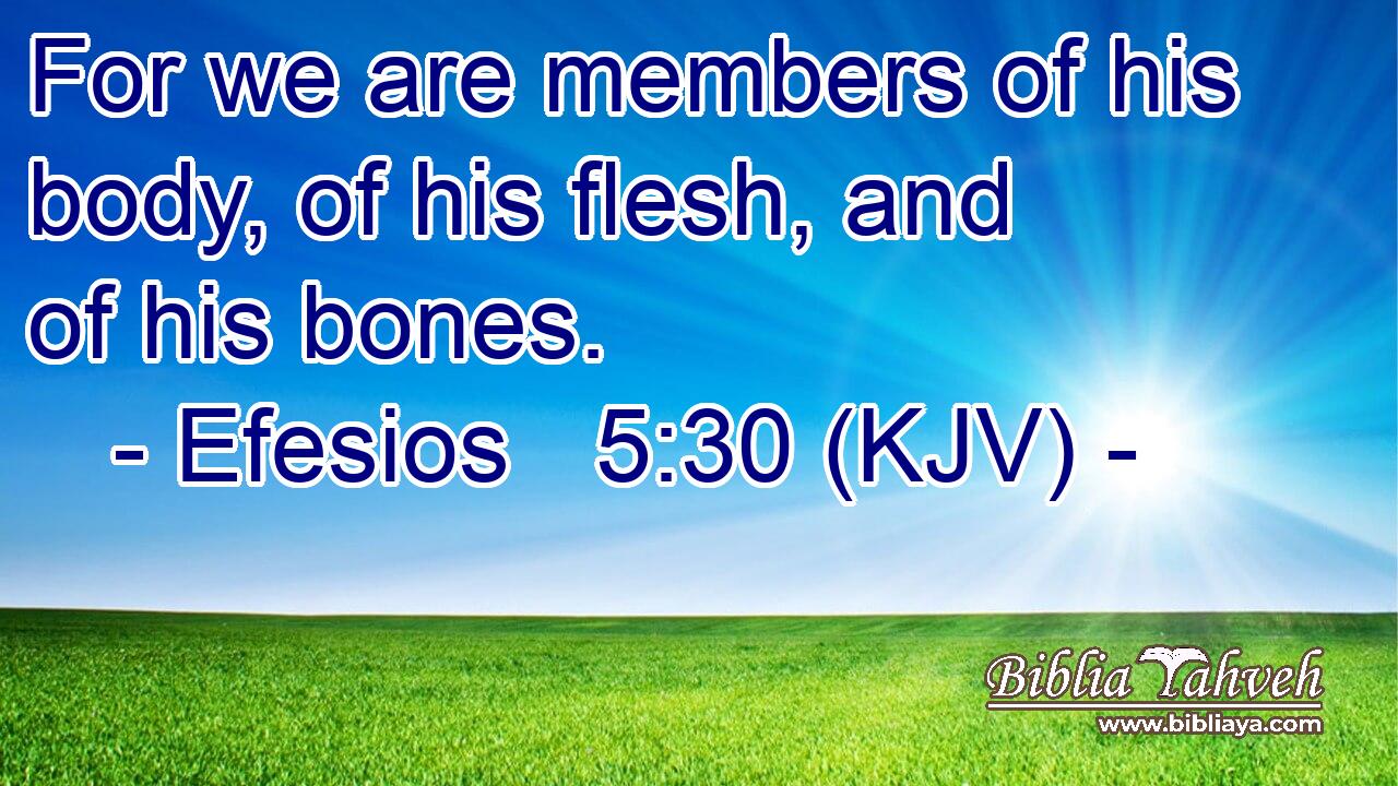 For we are members of his body, of his flesh, and of his bones.