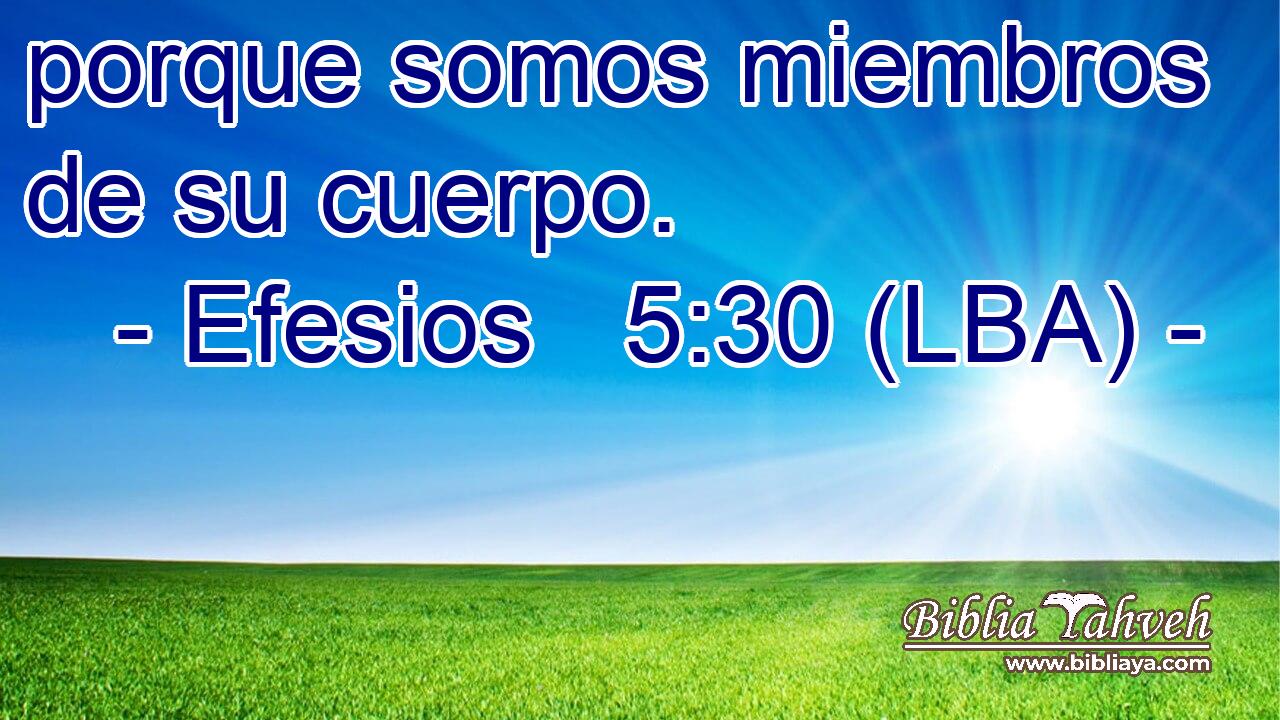 porque somos miembros de su cuerpo.