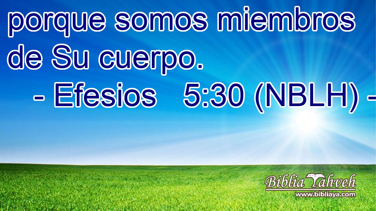  porque somos miembros de Su cuerpo. 