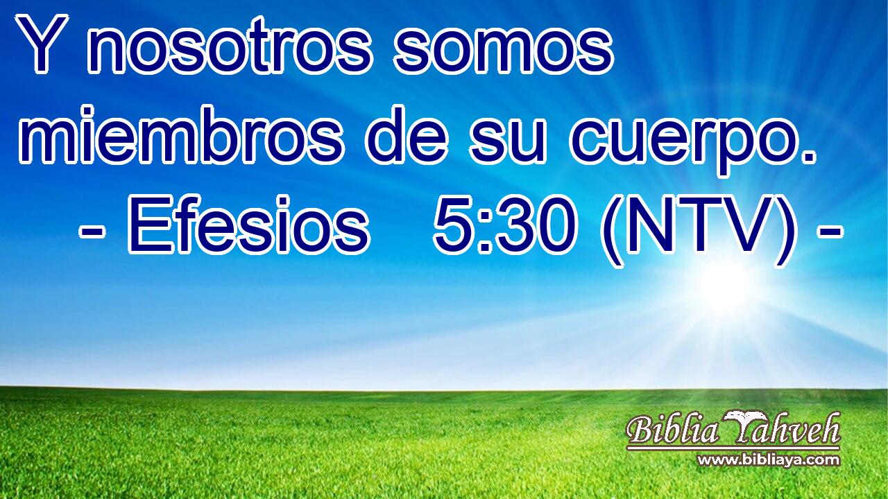 Y nosotros somos miembros de su cuerpo.
