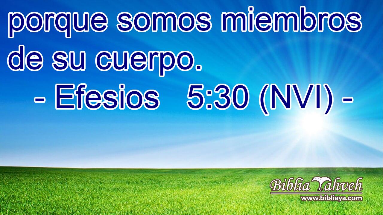 porque somos miembros de su cuerpo. 