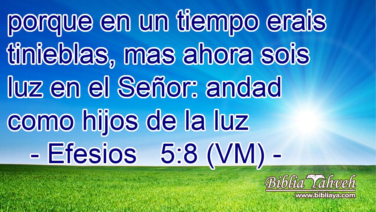  porque en un tiempo erais tinieblas, mas ahora sois luz en el Señor: andad como hijos de la luz 