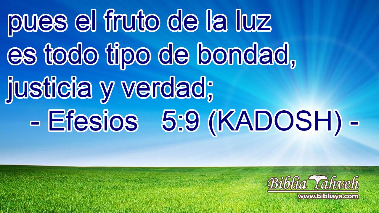  pues el fruto de la luz es todo tipo de bondad, justicia y verdad; 
