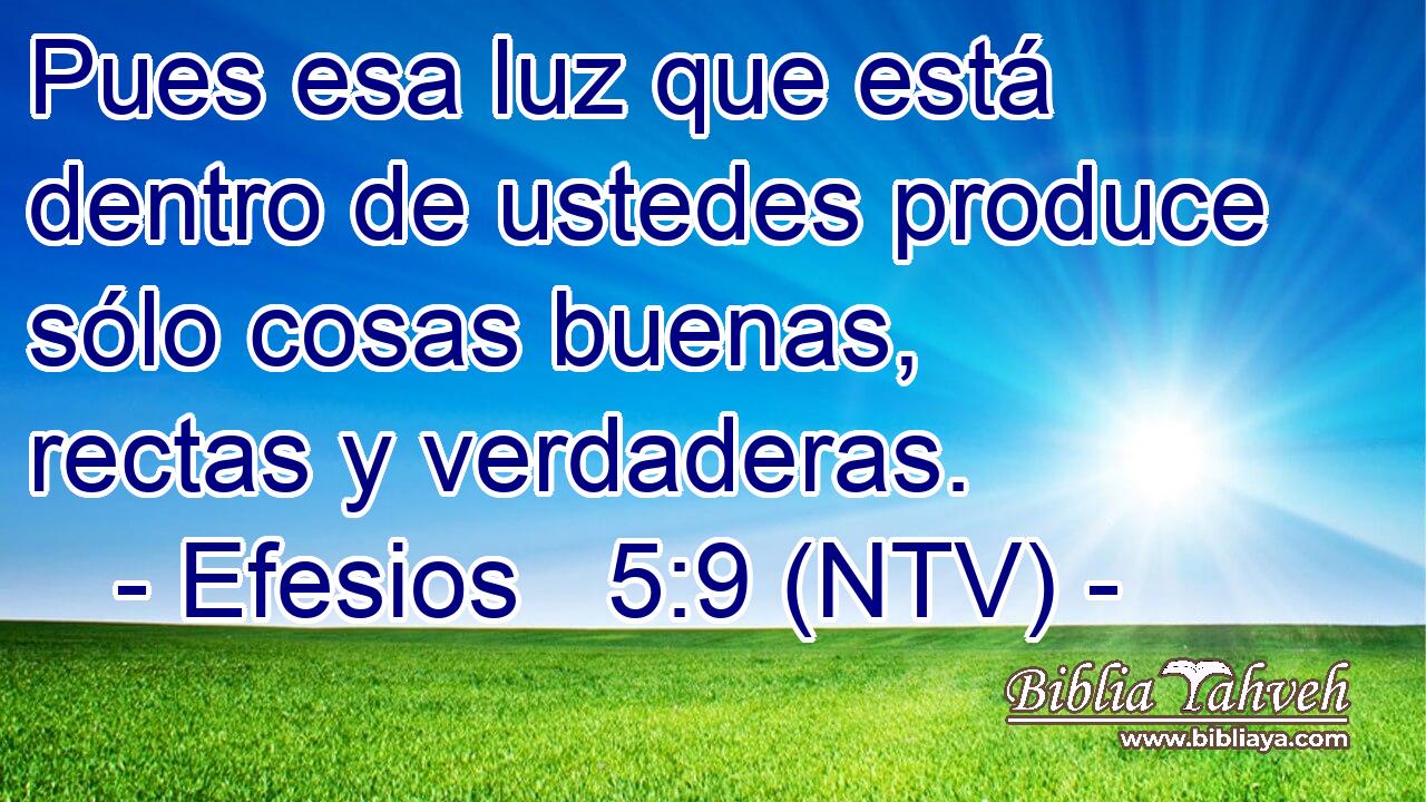 Pues esa luz que está dentro de ustedes produce sólo cosas buenas, rectas y verdaderas.