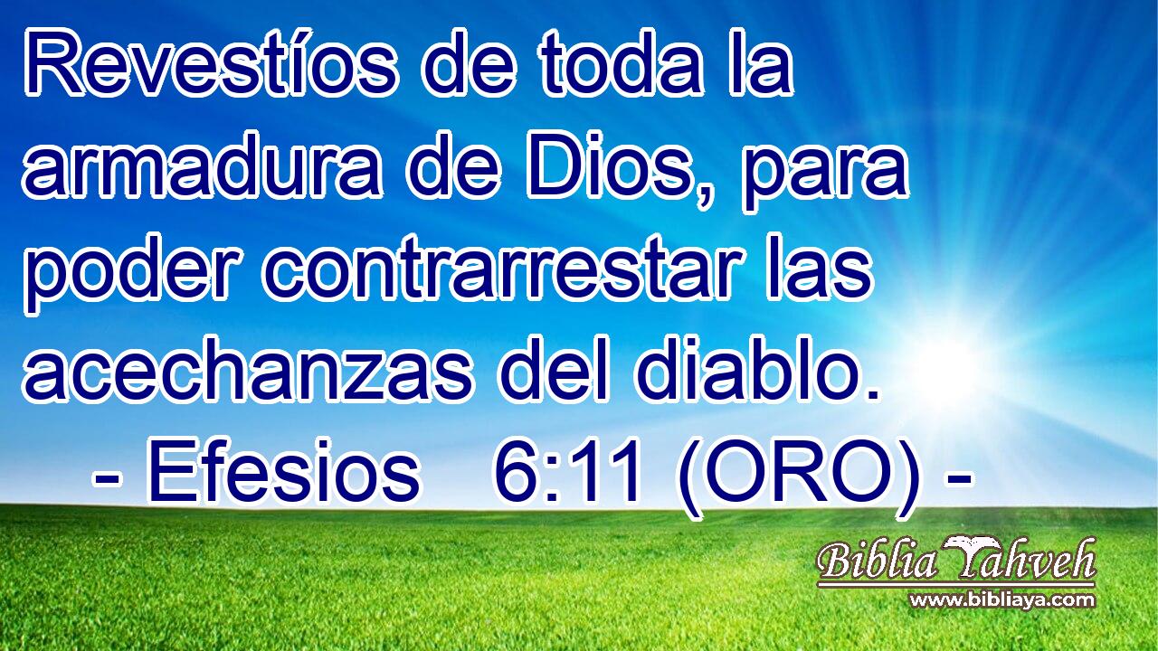  Revestíos de toda la armadura de Dios, para poder contrarrestar las acechanzas del diablo. 