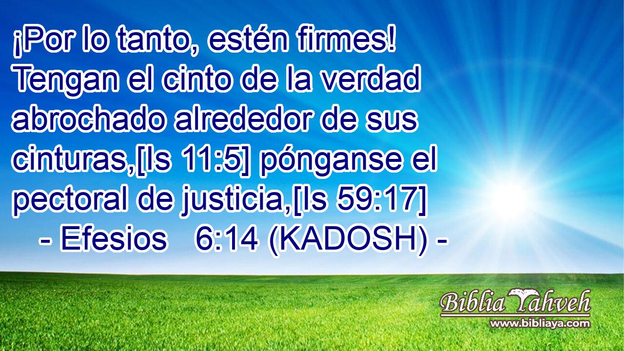  ¡Por lo tanto, estén firmes! Tengan el cinto de la verdad abrochado alrededor de sus cinturas,[Is 11:5] pónganse el pectoral de justicia,[Is 59:17] 