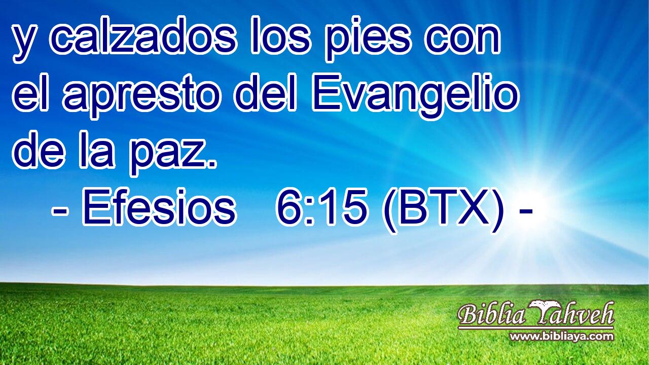 y calzados los pies con el apresto del Evangelio de la paz.