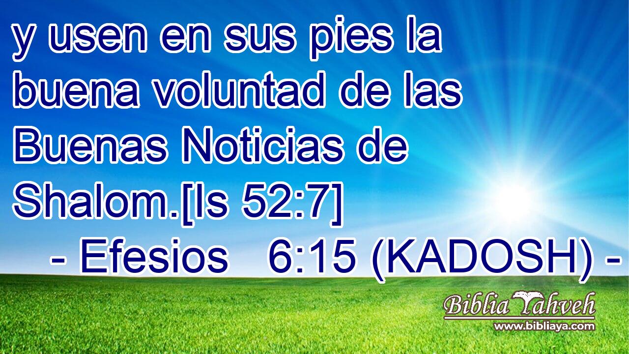  y usen en sus pies la buena voluntad de las Buenas Noticias de Shalom.[Is 52:7] 