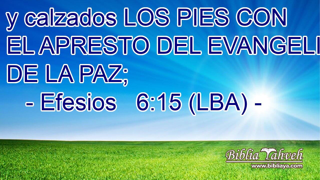 y calzados LOS PIES CON EL APRESTO DEL EVANGELIO DE LA PAZ;