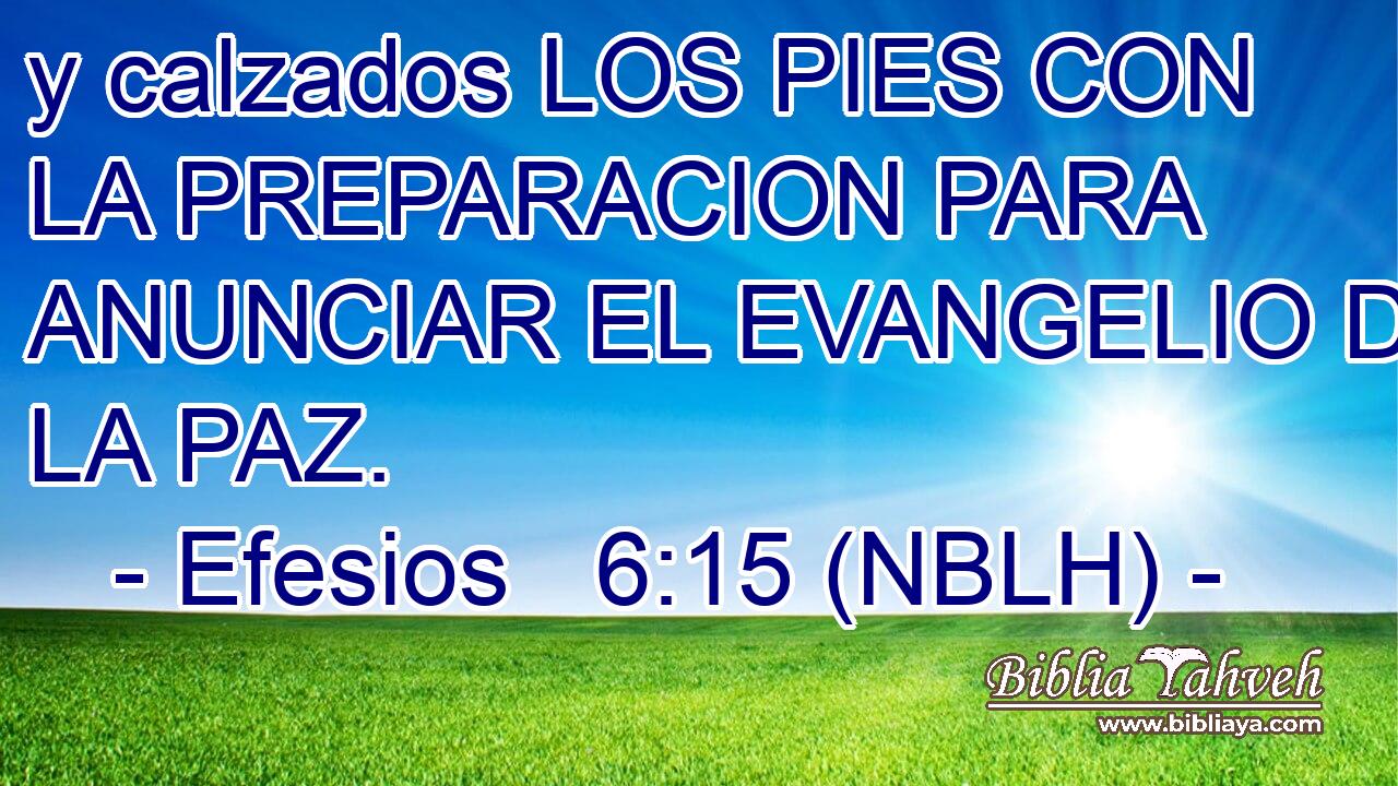 y calzados LOS PIES CON LA PREPARACION PARA ANUNCIAR EL EVANGELIO DE LA PAZ. 