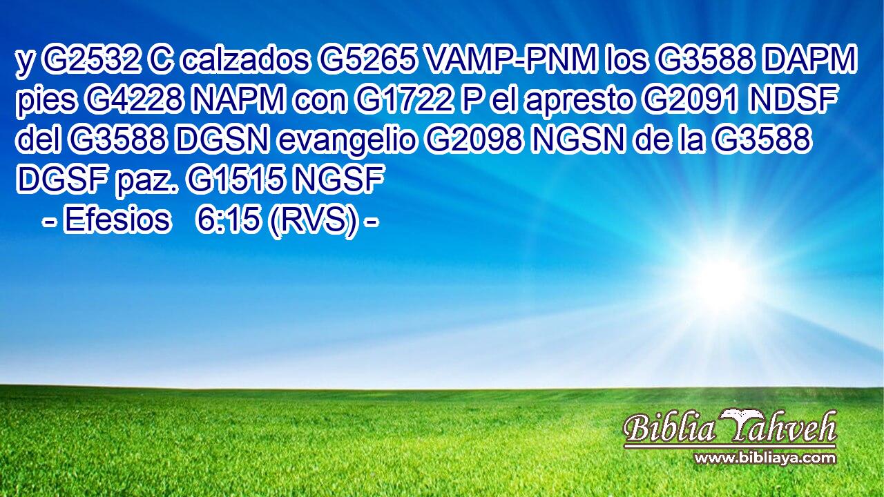 y G2532 C calzados G5265 VAMP-PNM los G3588 DAPM pies G4228 NAPM con G1722 P el apresto G2091 NDSF del G3588 DGSN evangelio G2098 NGSN de la G3588 DGSF paz. G1515 NGSF 