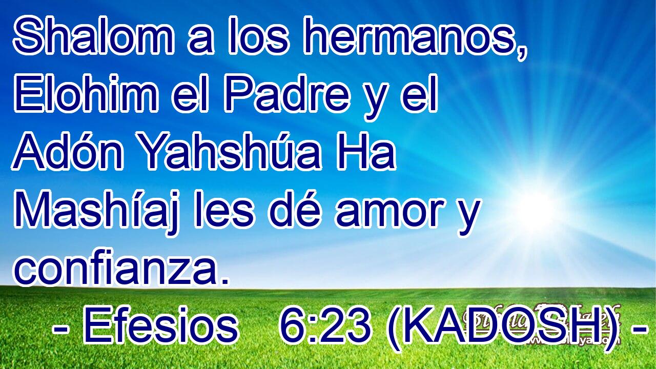  Shalom a los hermanos, Elohim el Padre y el Adón Yahshúa Ha Mashíaj les dé amor y confianza. 