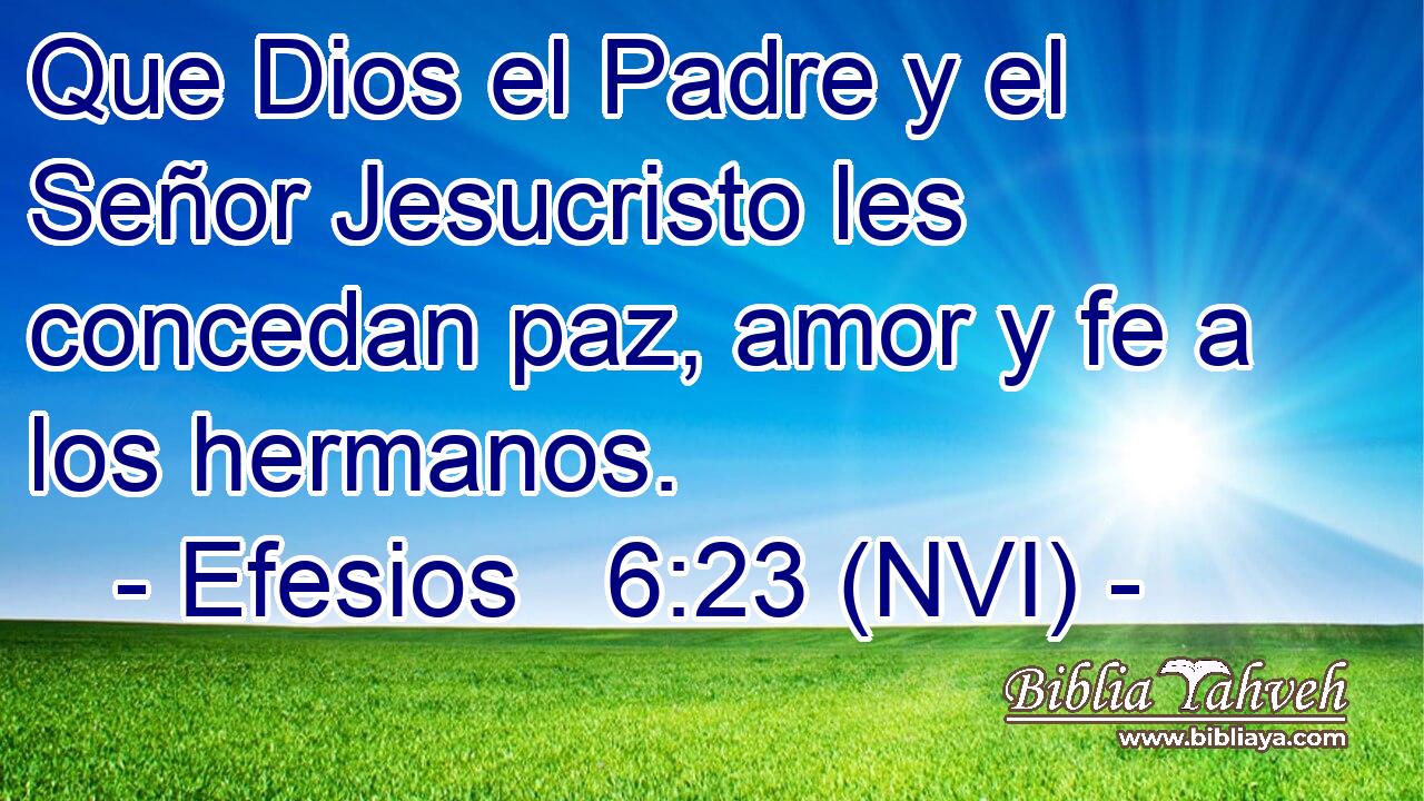  Que Dios el Padre y el Señor Jesucristo les concedan paz, amor y fe a los hermanos. 