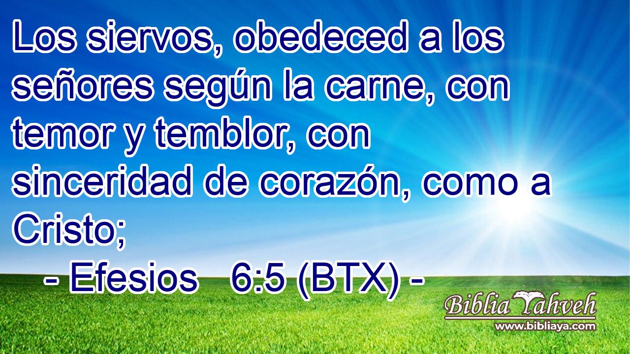 Los siervos, obedeced a los señores según la carne, con temor y temblor, con sinceridad de corazón, como a Cristo;