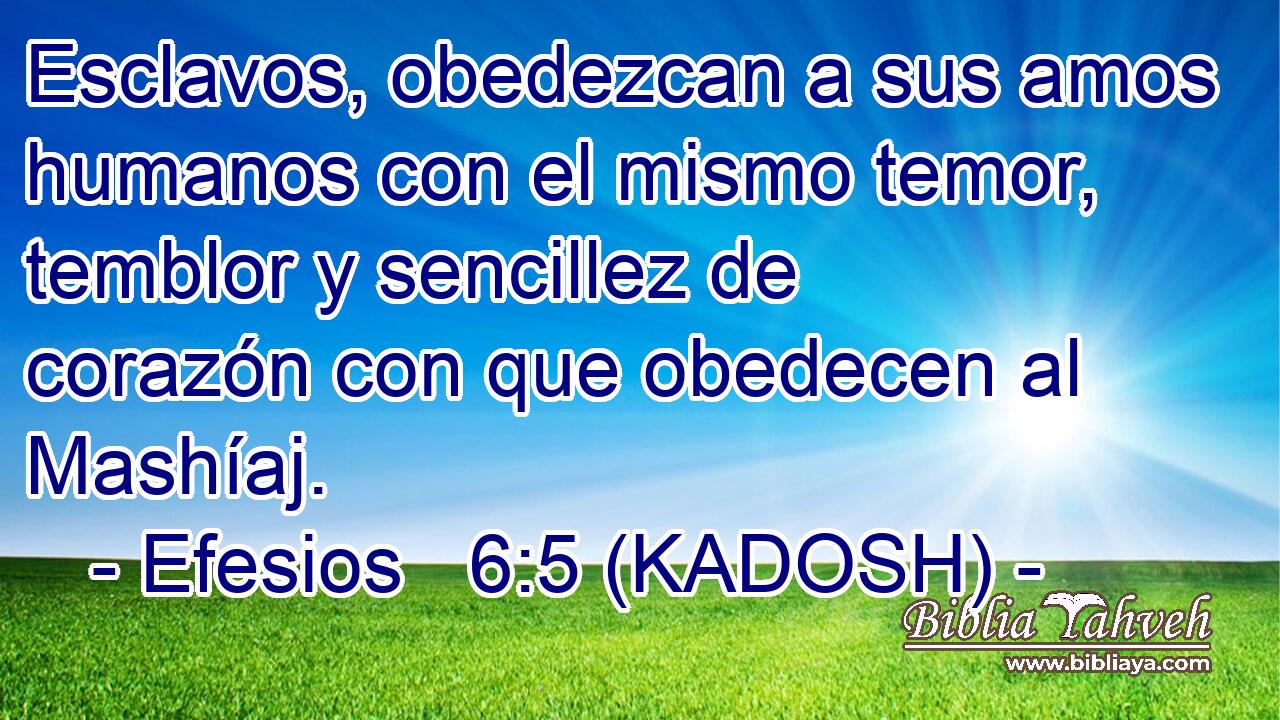  Esclavos, obedezcan a sus amos humanos con el mismo temor, temblor y sencillez de corazón con que obedecen al Mashíaj. 