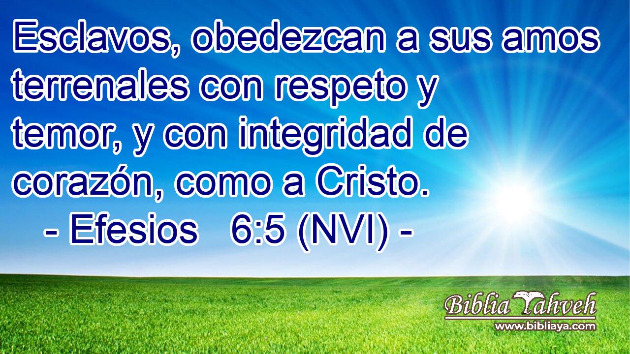  Esclavos, obedezcan a sus amos terrenales con respeto y temor, y con integridad de corazón, como a Cristo. 