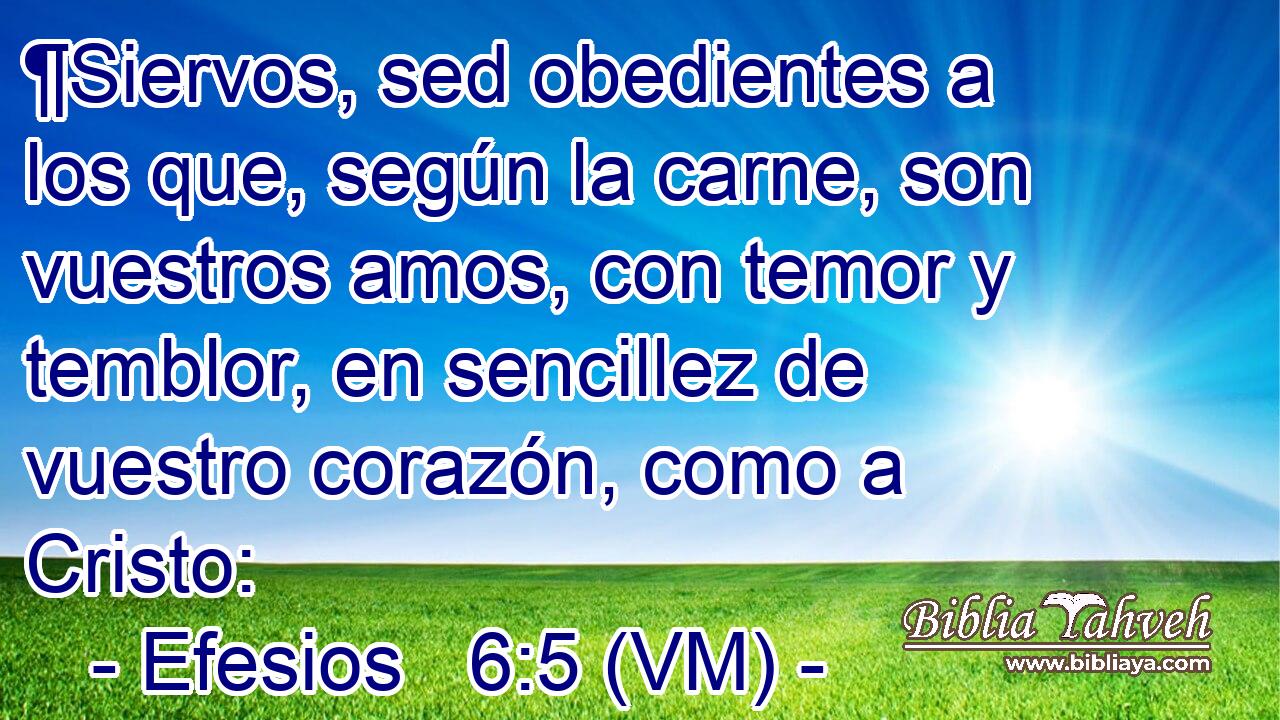  ¶Siervos, sed obedientes a los que, según la carne, son vuestros amos, con temor y temblor, en sencillez de vuestro corazón, como a Cristo: 