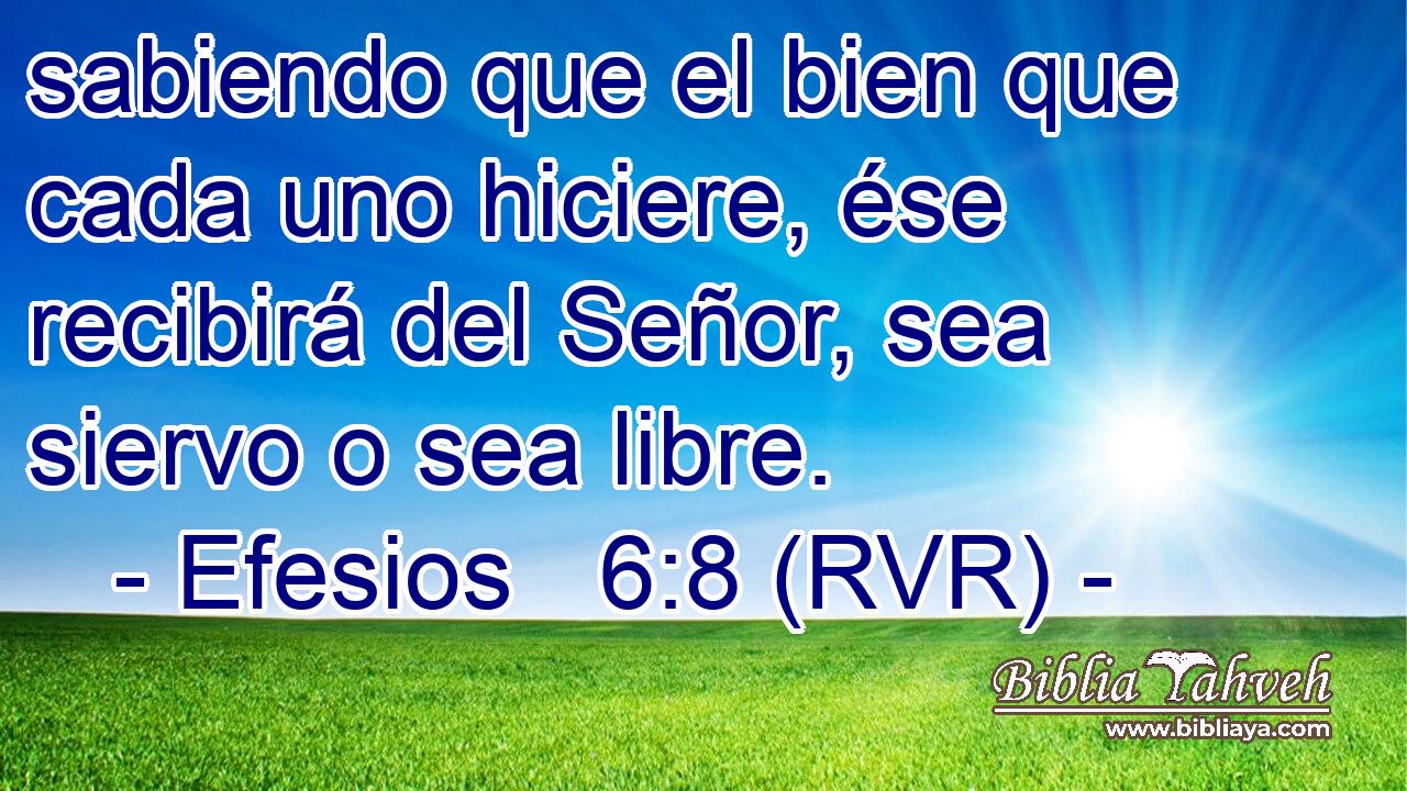 sabiendo que el bien que cada uno hiciere, ése recibirá del Señor, sea siervo o sea libre.