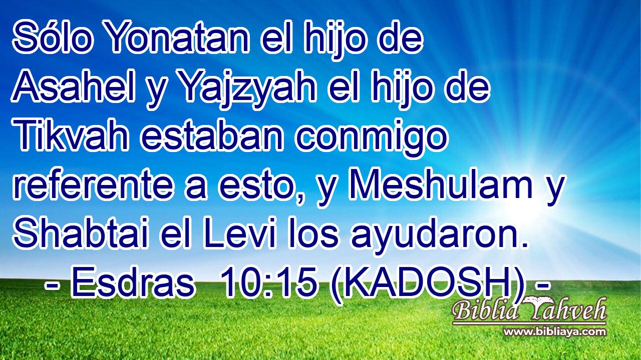  Sólo Yonatan el hijo de Asahel y Yajzyah el hijo de Tikvah estaban conmigo referente a esto, y Meshulam y Shabtai el Levi los ayudaron. 