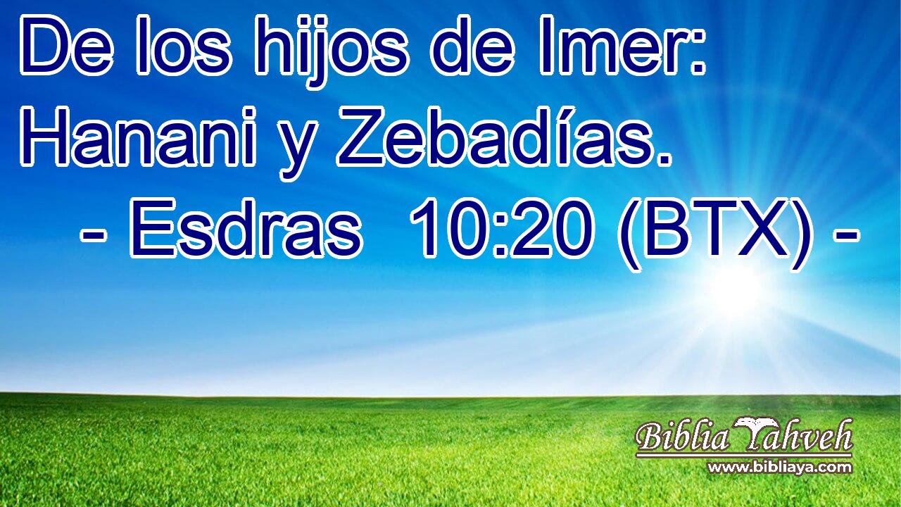 De los hijos de Imer: Hanani y Zebadías.