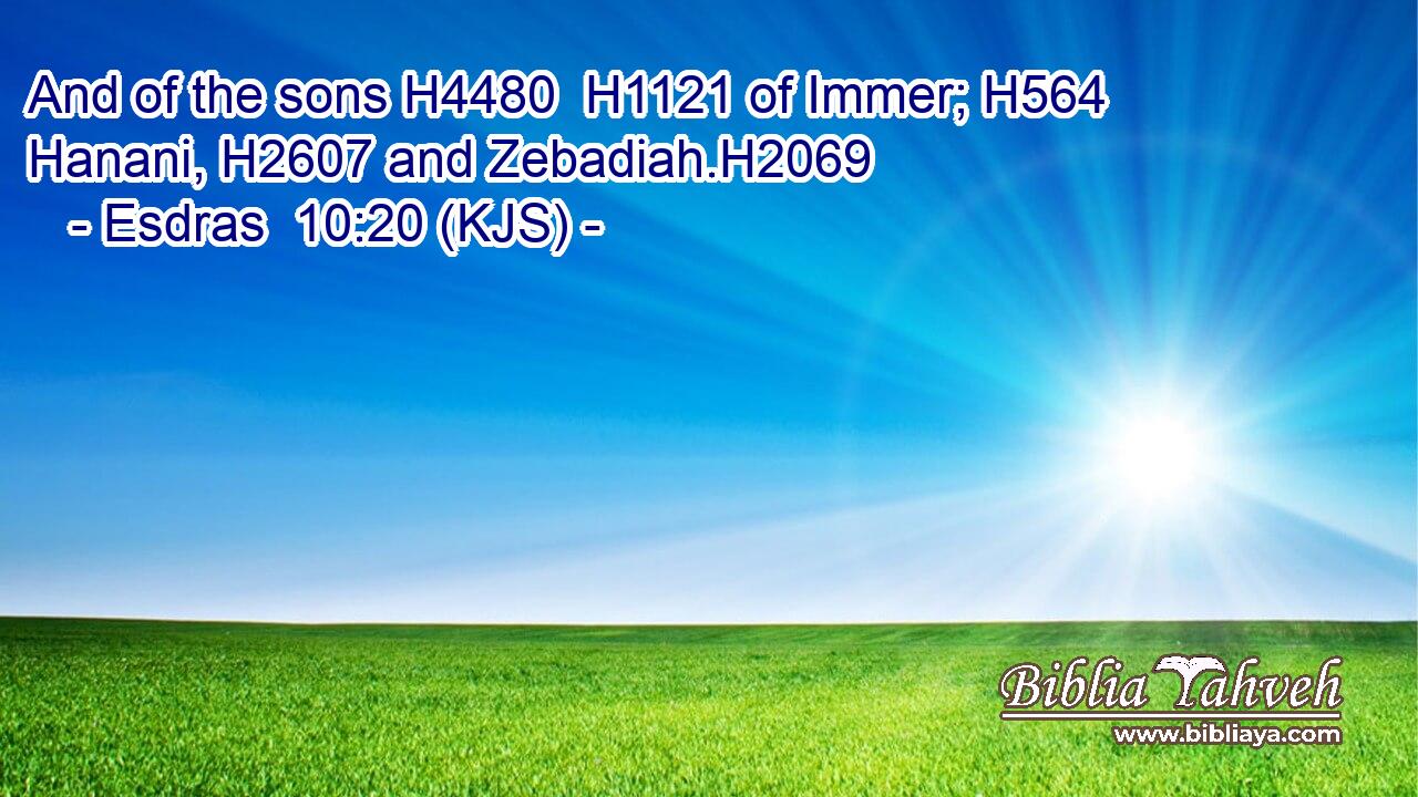 And of the sons H4480  H1121 of Immer; H564 Hanani, H2607 and Zebadiah.H2069