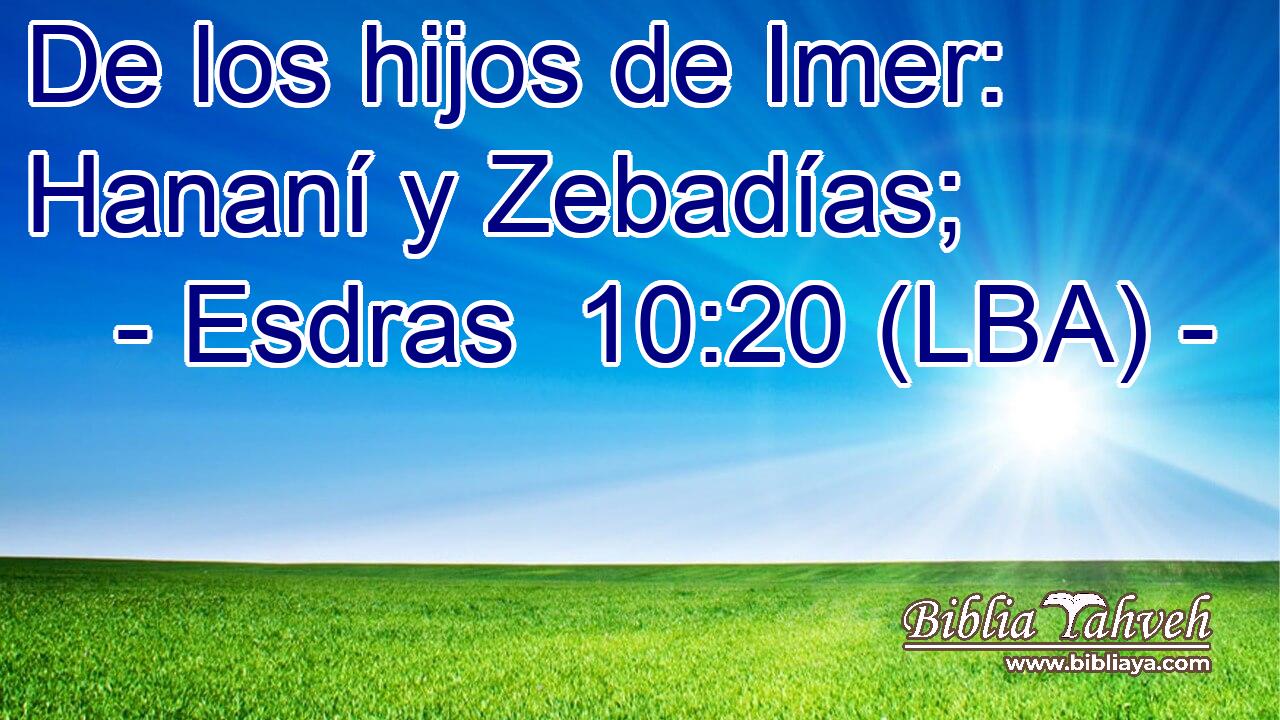 De los hijos de Imer: Hananí y Zebadías;