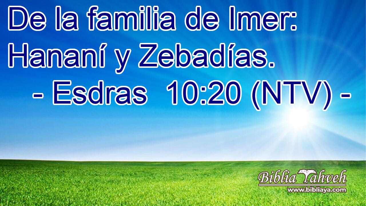 De la familia de Imer: Hananí y Zebadías.