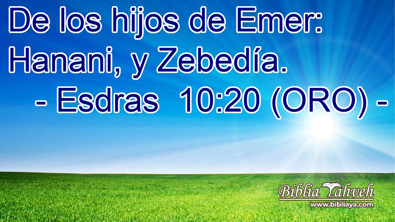  De los hijos de Emer: Hanani, y Zebedía. 