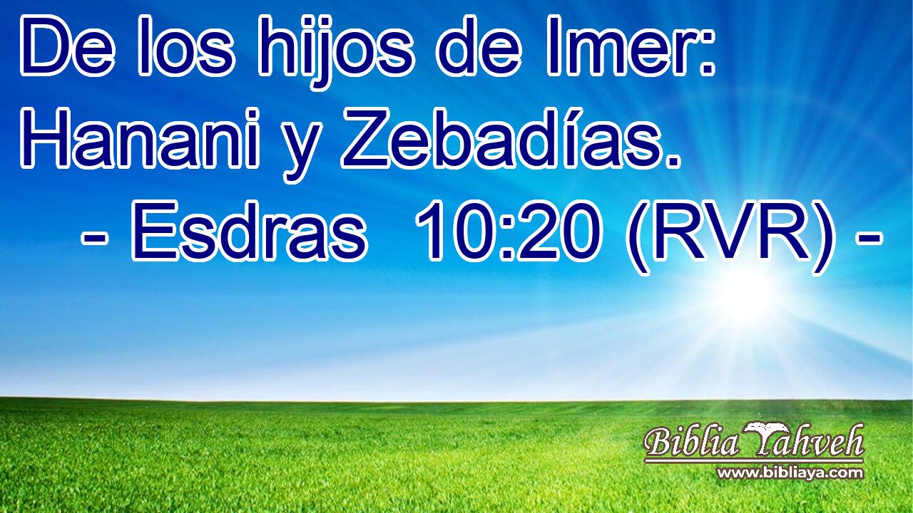 De los hijos de Imer: Hanani y Zebadías.