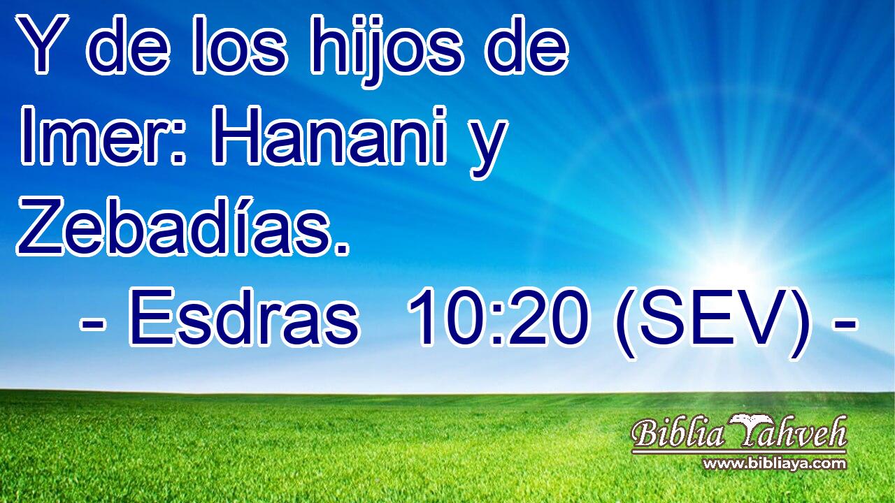 Y de los hijos de Imer: Hanani y Zebadías.