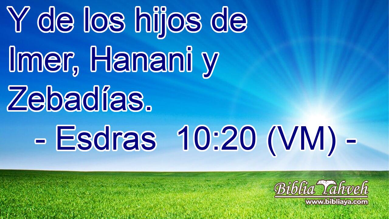  Y de los hijos de Imer, Hanani y Zebadías. 