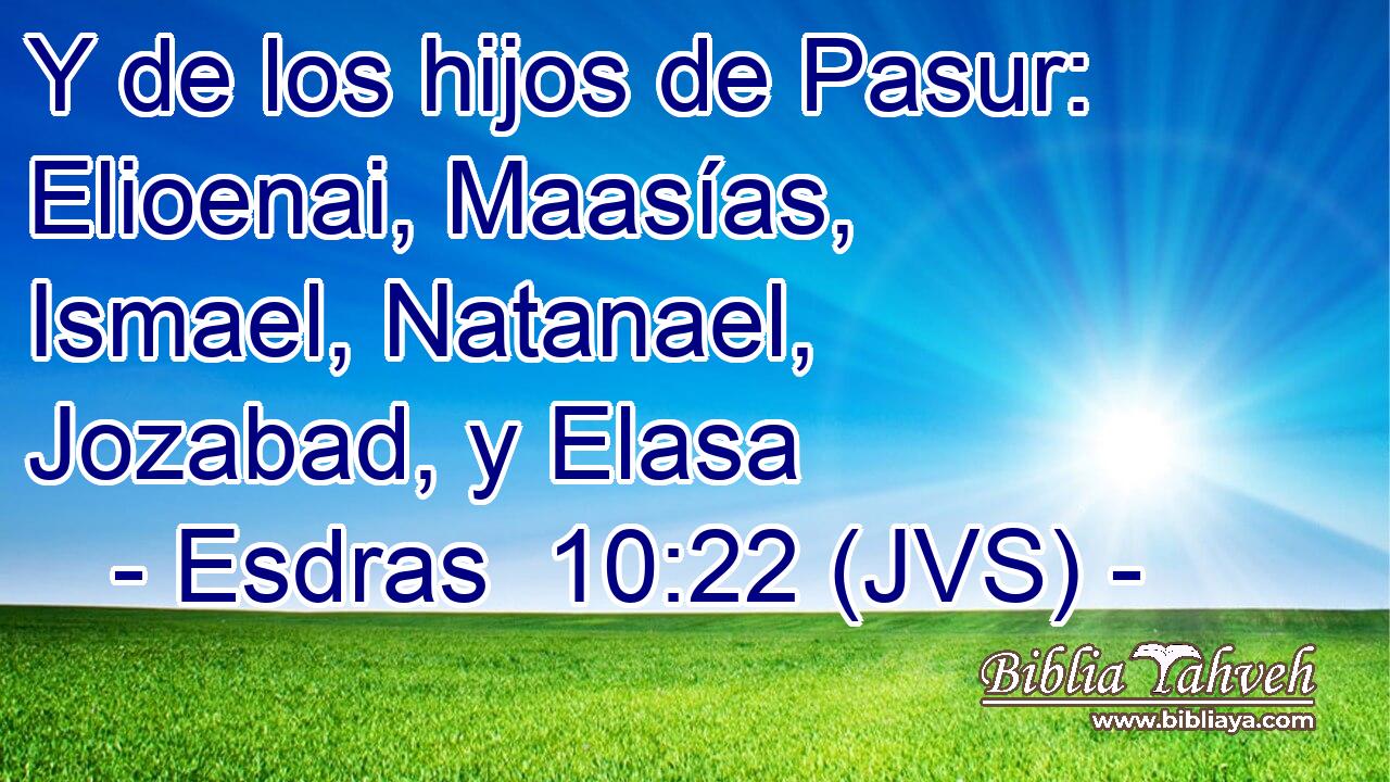 Y de los hijos de Pasur: Elioenai, Maasías, Ismael, Natanael, Jozabad, y Elasa