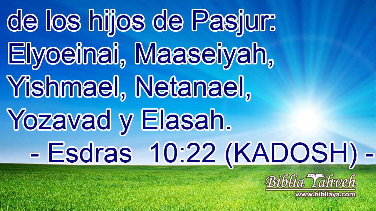  de los hijos de Pasjur: Elyoeinai, Maaseiyah, Yishmael, Netanael, Yozavad y Elasah. 