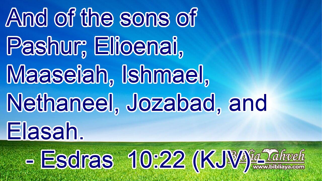 And of the sons of Pashur; Elioenai, Maaseiah, Ishmael, Nethaneel, Jozabad, and Elasah.