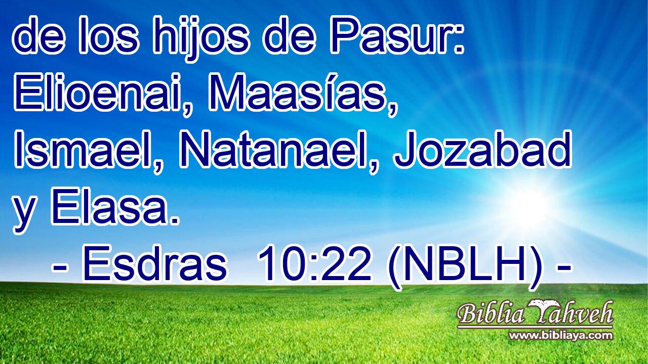  de los hijos de Pasur: Elioenai, Maasías, Ismael, Natanael, Jozabad y Elasa. 