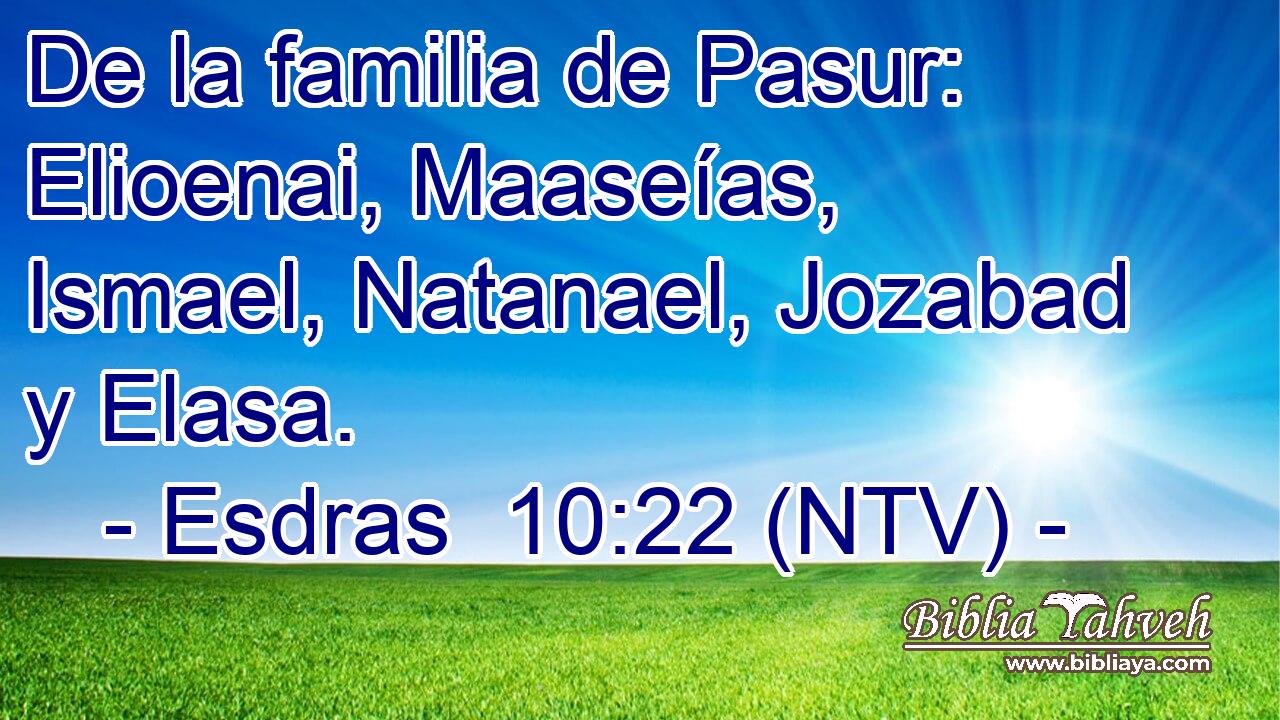 De la familia de Pasur: Elioenai, Maaseías, Ismael, Natanael, Jozabad y Elasa.