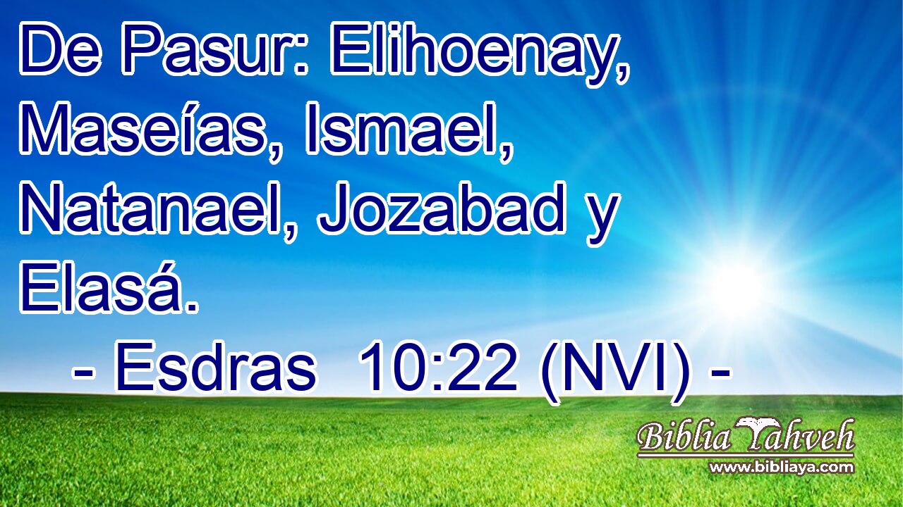  De Pasur: Elihoenay, Maseías, Ismael, Natanael, Jozabad y Elasá. 