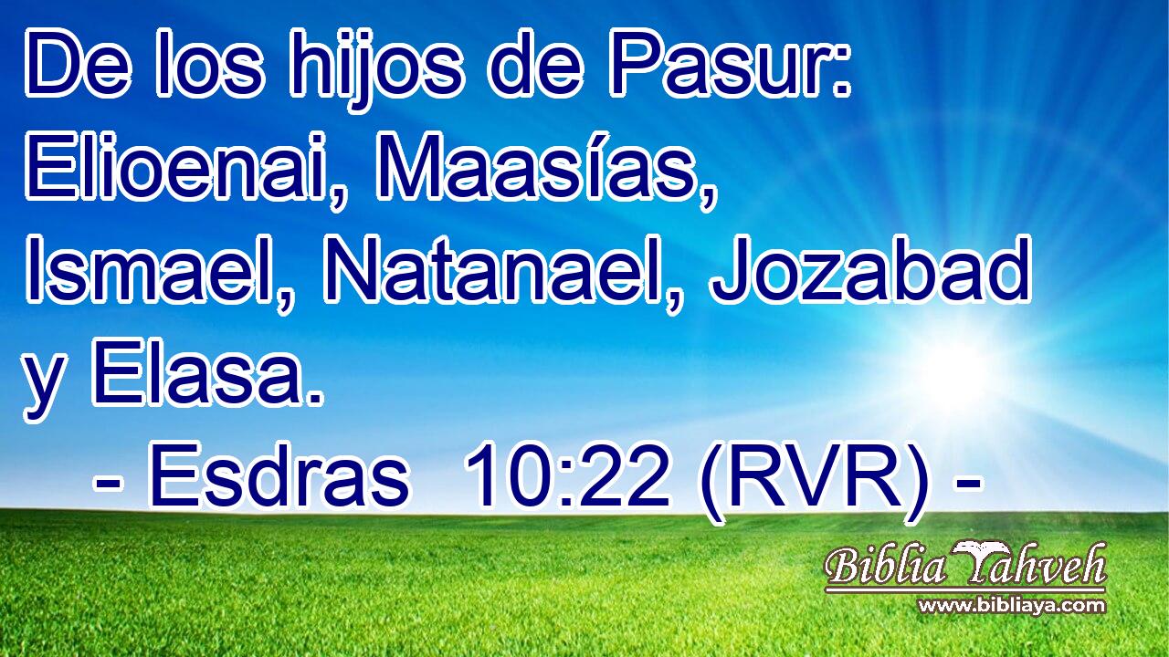 De los hijos de Pasur: Elioenai, Maasías, Ismael, Natanael, Jozabad y Elasa.