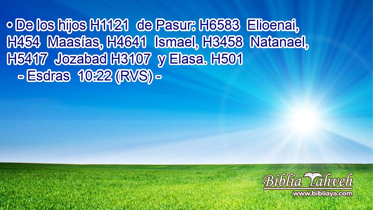 • De los hijos H1121  de Pasur: H6583  Elioenai, H454  Maasías, H4641  Ismael, H3458  Natanael, H5417  Jozabad H3107  y Elasa. H501  