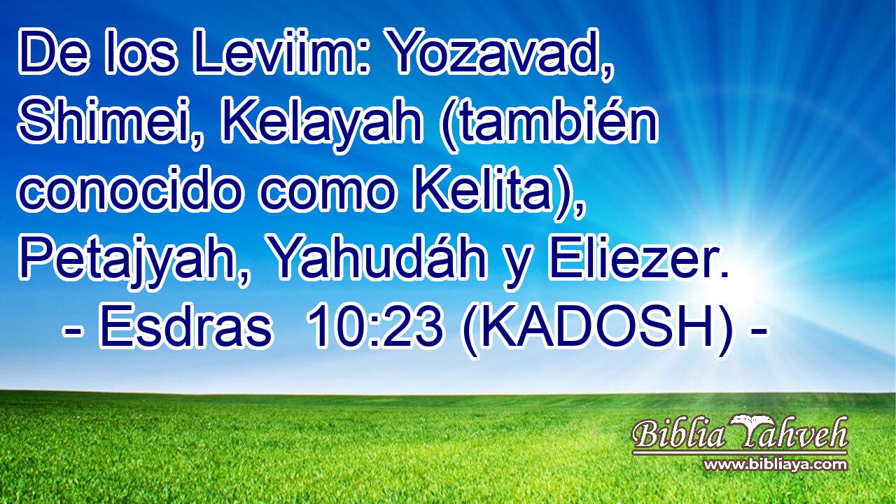  De los Leviim: Yozavad, Shimei, Kelayah (también conocido como Kelita), Petajyah, Yahudáh y Eliezer. 