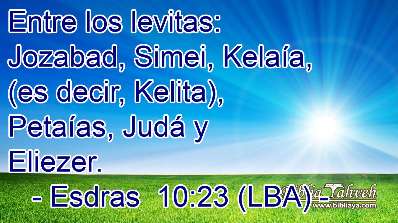 Entre los levitas: Jozabad, Simei, Kelaía, (es decir, Kelita), Petaías, Judá y Eliezer.