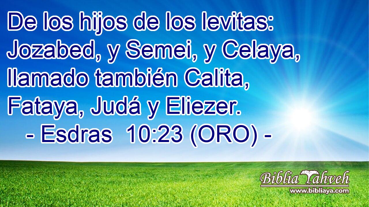  De los hijos de los levitas: Jozabed, y Semei, y Celaya, llamado también Calita, Fataya, Judá y Eliezer. 
