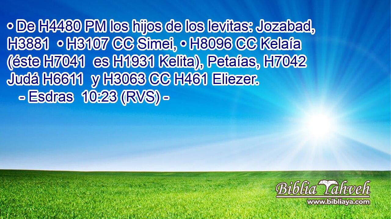 • De H4480 PM los hijos de los levitas: Jozabad, H3881  • H3107 CC Simei, • H8096 CC Kelaía (éste H7041  es H1931 Kelita), Petaías, H7042  Judá H6611  y H3063 CC H461 Eliezer. 