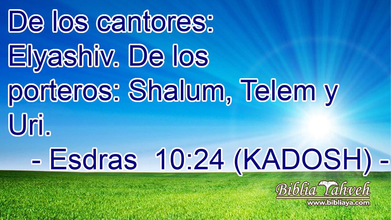  De los cantores: Elyashiv. De los porteros: Shalum, Telem y Uri. 