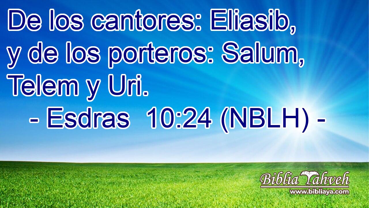  De los cantores: Eliasib, y de los porteros: Salum, Telem y Uri. 